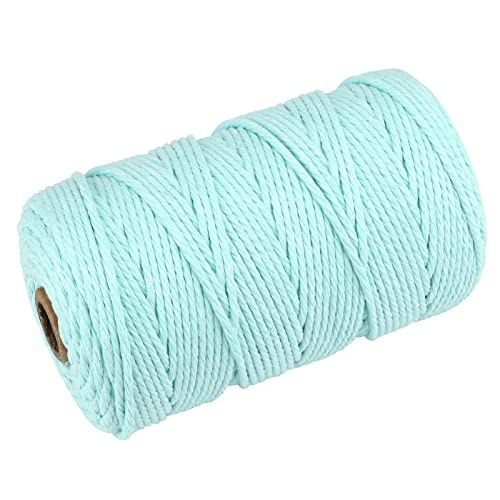 Image of jijAcraft Macrame Cord,3mm x 328 Feet Cotton Macrame Cord,Colored Cotton Cord Macrame Supplies,Macrame Rope Craft Twine String for Macrame & Knitting,Plant Hangers,Wall Hanging,Craft (Sky Blue)