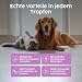 Zanipro Natürliche Wurmkur Hund Tropfen & Katzen – 100% Pflanzliche Entwurmung, Flüssiger Wurmkur-Komplex mit Wermut, Schwarznuss & Quassia – Verdauungs- & Darmunterstützung für Kätzchen | 50ml