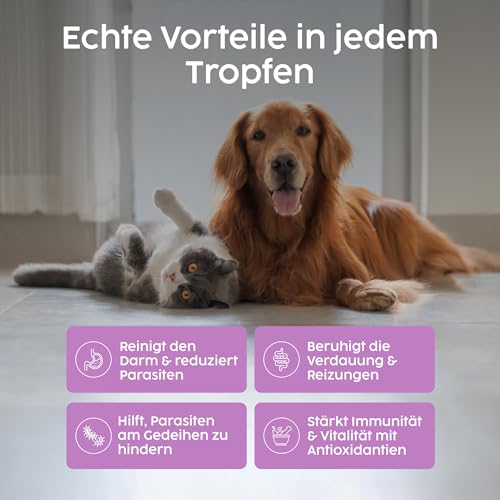 Zanipro Natürliche Wurmkur Hund Tropfen & Katzen – 100% Pflanzliche Entwurmung, Flüssiger Wurmkur-Komplex mit Wermut, Schwarznuss & Quassia – Verdauungs- & Darmunterstützung für Kätzchen | 50ml