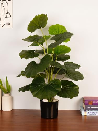 Image of ARICK Decor 2.1Ft Artificial Round Rubber Plant with 18 Leaves, 65cm Tall Faux Tropical Ficus Elastica Potted Tree in Black Pot, Realistic Large Silk Leaf Fake Plant for Living Room, Office