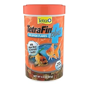 TetraFin Plus Goldfish Flakes 2.2 Ounces, Balanced Diet, With Algae To Promote Health,Oranges