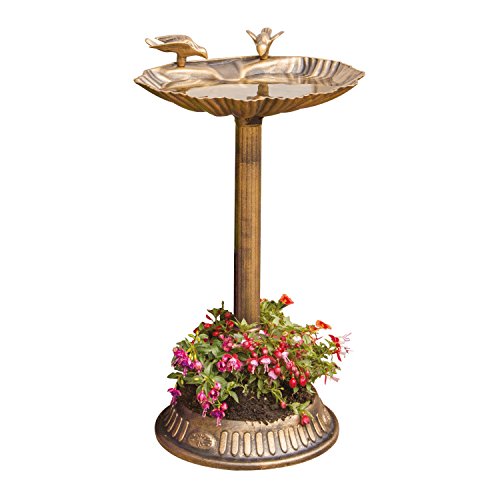 MP Essentials - Bañera para pájaros con maceta