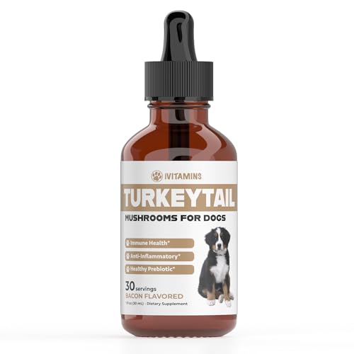 Turkey Tail Mushroom Tincture for Dogs