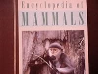 Encyclopedia of Mammals 0761405852 Book Cover