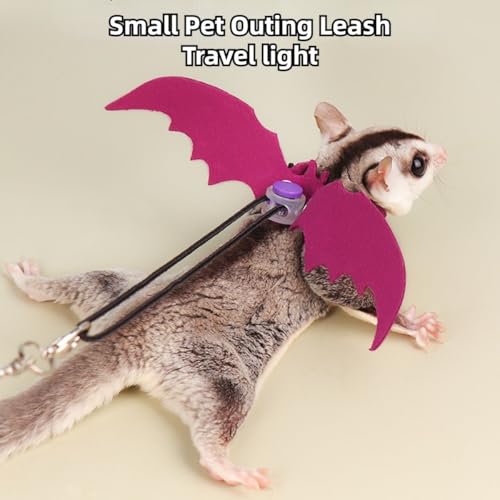 Image of Sugar Gliders Harness Leash Set - 3 Pcs Training Walking Gear Small Animal Adjustable Traction Ropes Vest for Squirrels Hamsters Rats Gerbils Reptiles Bearded Dragon Lizards (Yellow)