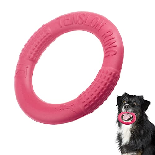 List of Ten Best Flying Disc For Dogs [Top Picks 2023 Reviews]