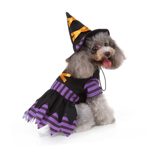 Disfraz de bruja para perro talla S POPETPOP