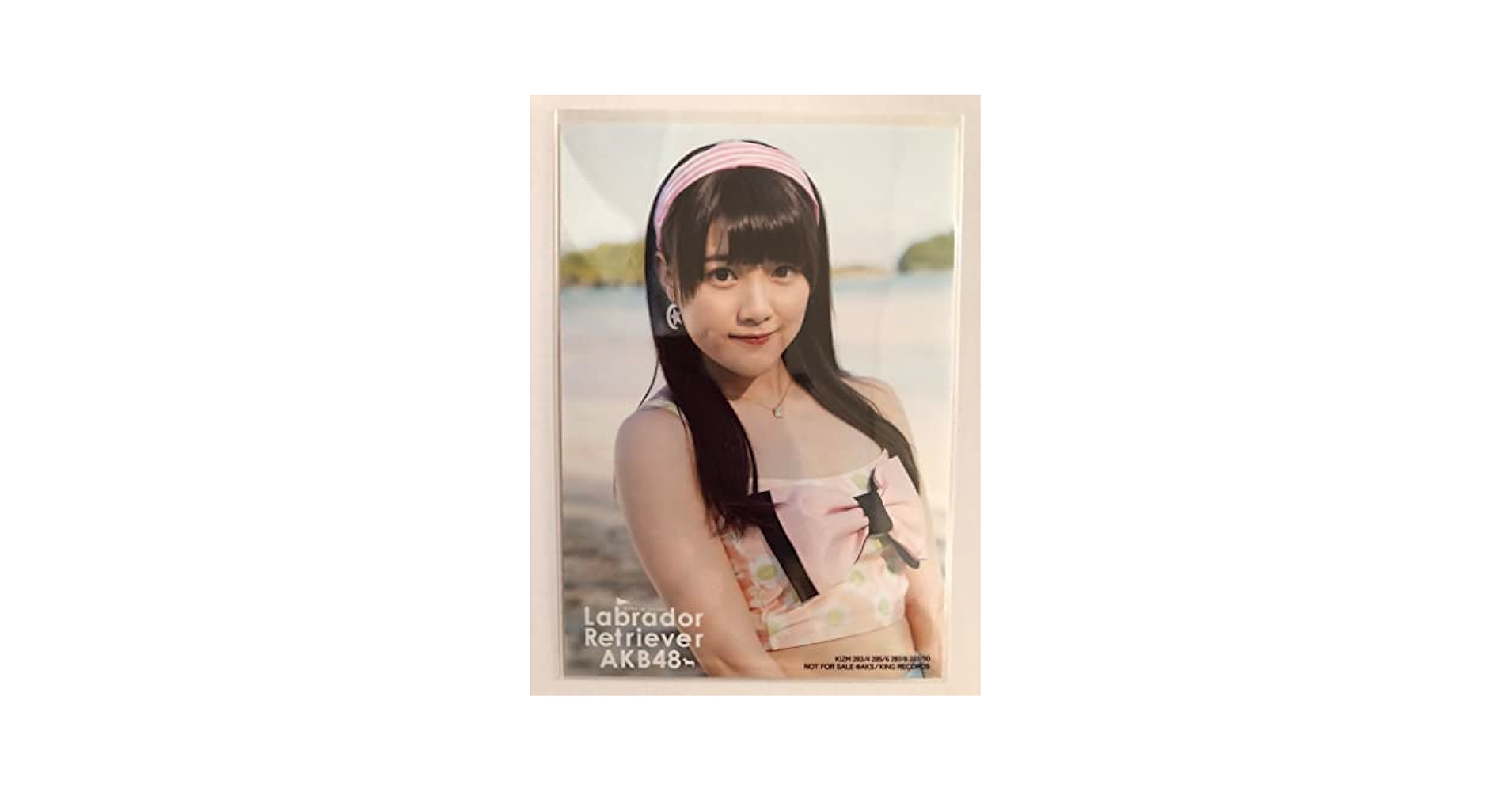 Amazon.co.jp: AKB48 公式生写真 ラブラドール・レトリバー 通常