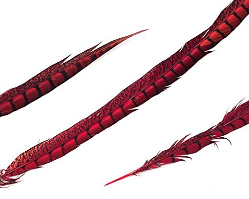 Schuman Feathers, Lady Amherst Pheasant, 30-36 inches Long, Dyed Over Natural, Feathers for, Carnival, Dance, Wholesale, per 2 Feathers (Red)