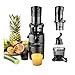 GASTROBACK 40146 Slow Juicer Vita Fresh der beste Slow Juicer für Cold Press Saft, Schwarz