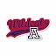 Arizona Wildcats Distressed