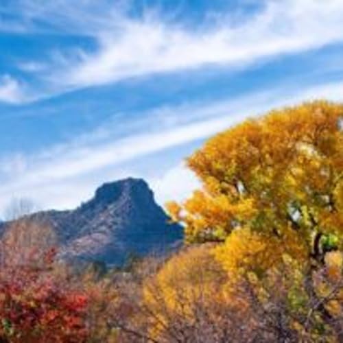 Prescott Seeks Input on Park Improvement Project