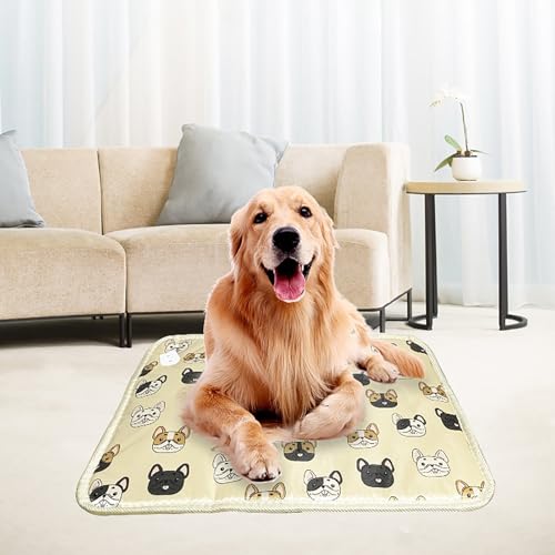 Coussin chauffant pour chat avec câble protégé pour éviter les morsures - 8