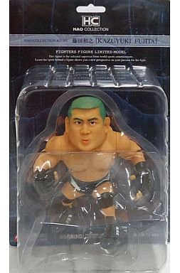藤田和之 フィギュア HAOコレクション Amazon.co.jp: HAO 藤田和之 フィギュア : おもちゃ