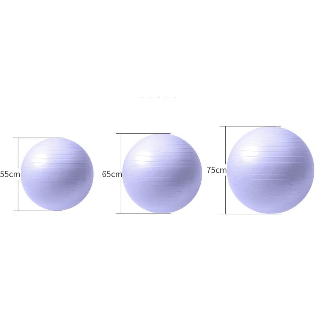 Pelota de Gimnasia Balance Ball Bola del Ejercicio de Bola de la Aptitud Bola de Yoga for Mantenerse en Forma Engrosada, Balance y los Entrenamientos del Gimnasio con la Bomba de Aire