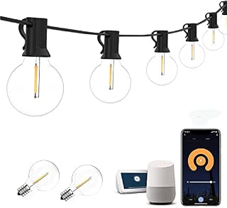 Outdoor Festoon Lights 100Ft, Mains Powered Smart LED String Light with 50+2 Shatterproof G40 Bulbs, 2.4GHz WiFi Bluetooth & App Controlled Garden Lights Works with Alexa Google Home Warm White