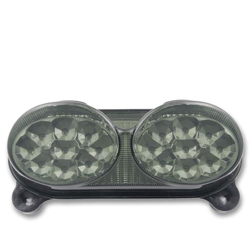 Luces traseras motocicleta con intermitentes para ZX9R ZZR600 y ZR7S ahumado