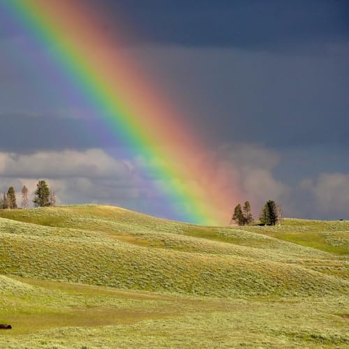 Securing GitHub Actions with William Woodruff Podcast Por  arte de portada