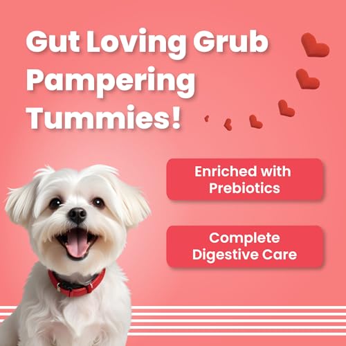 BARK OUT LOUD Red Hearts Soft Chews | Fresh Chicken Dog Treats | No Sugar - Prebiotics, Vitamins, Minerals, Antioxidants for Dogs 100g