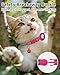 Joytale AirTag Cat Collar 2 Pack with Breakaway Safety Buckle, Reflective Cats Collar with AirTag Holder, Adjustable 7.5-12.5 Inch, Anti-Fraying Lightweight for Girl Boy Kitten, Hotpink