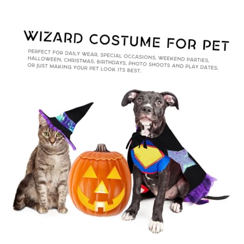 Disfraz de mago para perro talla L Halloween miniatura 5