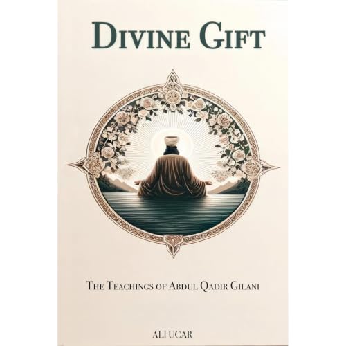 Divine Gift Audiobook By Ali Ucar cover art
