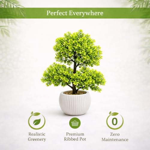 Image of Artificial Boxwood Topiary Bonsai with Ripped Pot, Decorative Indoor Faux Plant for Living Room, Home, Office, Tabletop, L1 (Pack of 1)