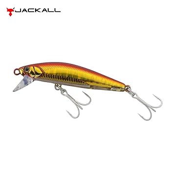 【たろう】　超ビック　マッスルルアー Amazon.co.jp: JACKALL ビッグバッカー フィットミノー 60