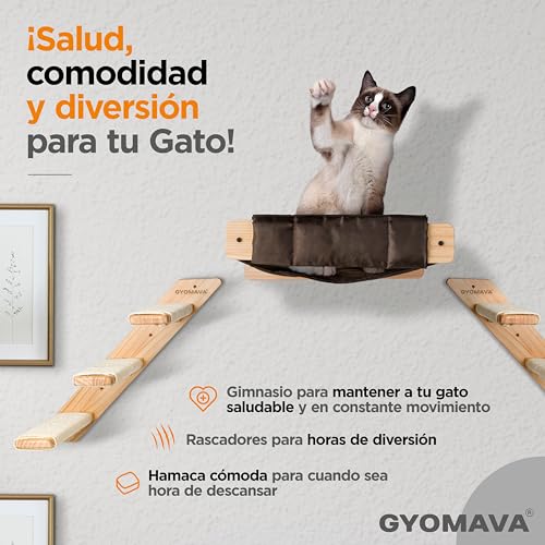 Mejores review On-line Accesorios para gatos Top cinco. 26 Imagen adicional