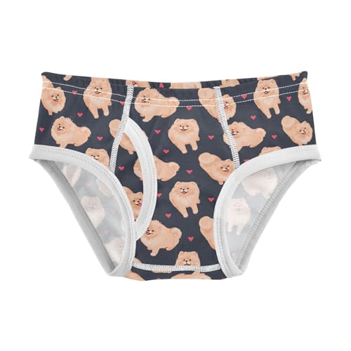 Cotton Little Boys Briefs Soft Pomeranian Dog Toddler Underwear