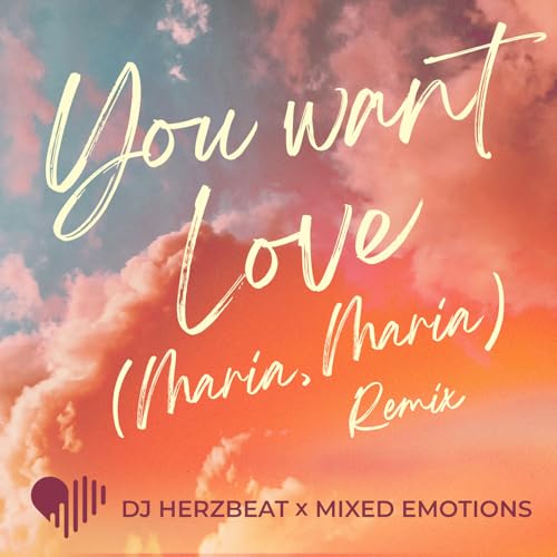 DJ Herzbeat & The Mixed Emotions