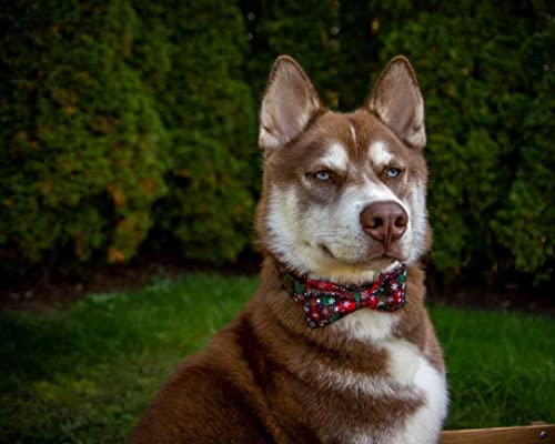 Lionheart glory Weihnachts-Hundehalsband mit Karomuster, verstellbares weiches Hundehalsband mit Fliege, Halsband mit Schleife für mittelgroße Hunde, Geschenk für Haustiere