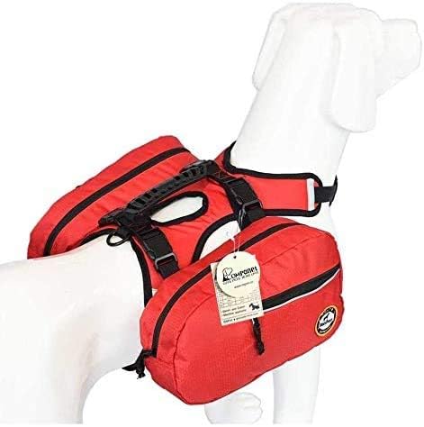 miniature teacup dogs