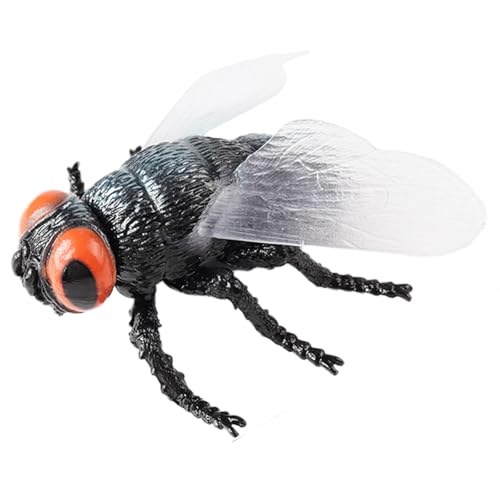 AENIMELY Mosca Realista de Gran Tamaño - Figura Hueca de Insecto Educativo - Juguete Infantil para Aprendizaje Stem, Proyecto de Ciencia, Exploración de Naturaleza y Exhibición en Aula o Hogar