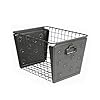 Spectrum Diversified Paws Macklin Basket Steel Bin with Cute Pawprint Design, Pet Accessory Rust-Resistant Finish, Cat & Dog Toy Organization & Storage, Medium, Industrial Gray