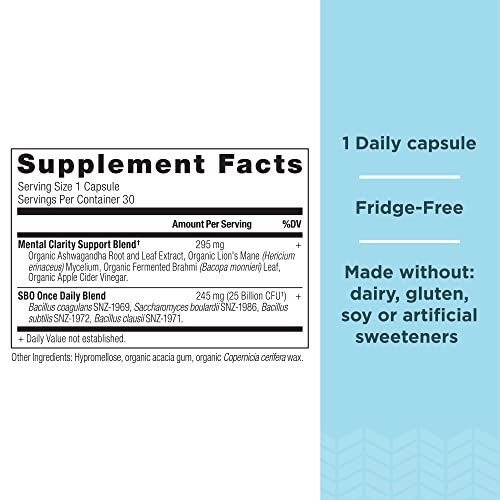 Probiotics for Mental Clarity by Ancient Nutrition, Once Daily Probiotics 30Ct, Helps Promote Mental Clarity and Concentration, Supports Healthy Energy and More Restful Sleep, 25 Billion CFUs* - Image 3