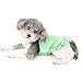 Ranphy Dog Dress for Small Dog Girls Plaid Pet Pleated Skirts with Cherry Decorate Puppy Spring Summer Outfits Chihuahua Yorkie Cats Apparel, Green, S