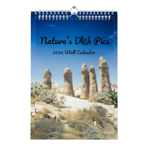 Calendario de pared 2026 organizador mensual de 12 meses con planificador de citas y tareas
