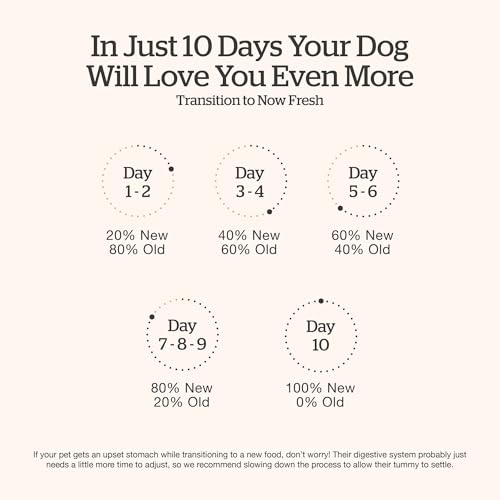 Image of Now Fresh Grain-Free Premium Dry Dog Food with Lamb & Pork, Healthy Kibble for Adults Made with Real Red Meat, Chicken-Free Recipe, Enhanced with Pumpkin & Probiotics for Good Digestion, 22 lb Bag