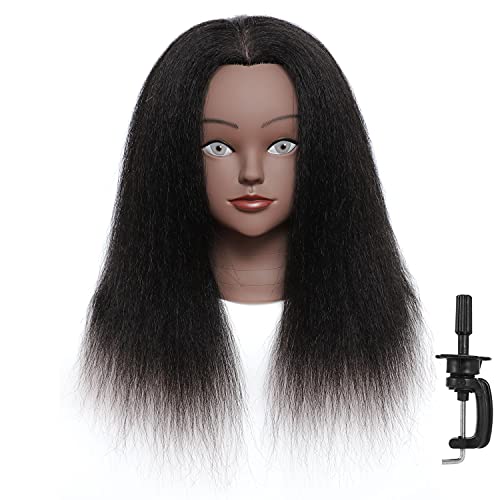 Mannequin Head with Human Hair 14 "Training Head Mannequin Human Hair 100% Real Hair Training Head Cosmetology Manikin Doll Head for Hairdresser Practice Braiding with Free Stand