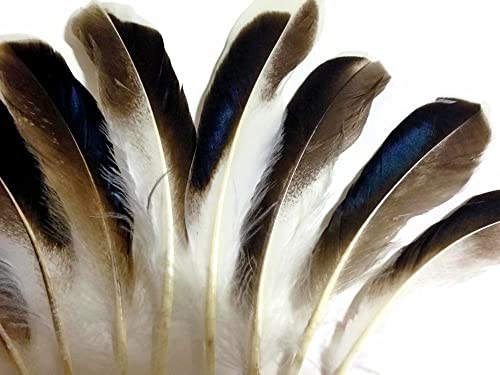 1 Pack - Iridescent Blue Mix Mallard Duck Wing Feathers 0.15 Oz. Halloween Craft Supply | Moonlight Feather #TOP3