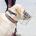 Cocker Spaniel Rüde - CHOPO Drahtmaulkorb - Hundemaukorb -Komfort und Sicherheit in Perfekter Balance