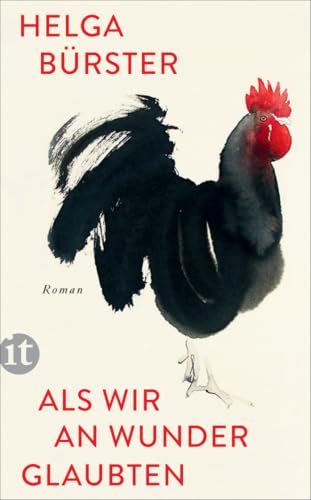 Cover zum Buch Als wir an Wunder glaubten