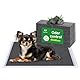 Flying Paws Trainingsunterlagen,Einweg-Welpenunterlagen,Super Absorbierend und Auslaufsicheres,Aktivkohle Hunde PIPI Matten,Puppy Pads für Training,60×60cm,L-50Stück