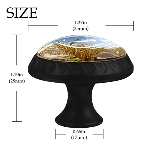 Boutons de tiroir ronds de 35 mm avec motif épi de blé pour commode - 5