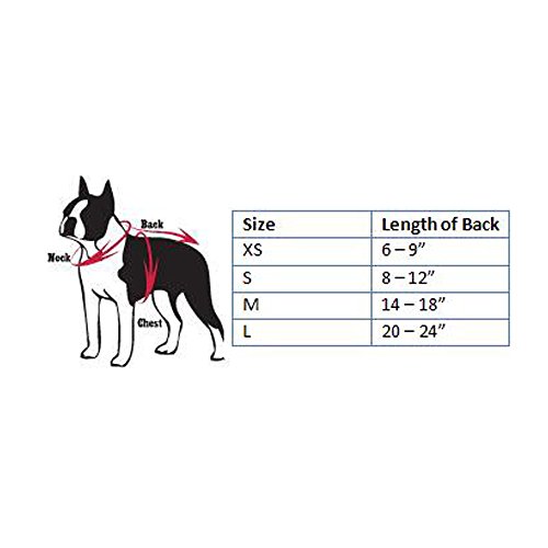 Image of Pets First Collegiate Oregon State Beavers Dog Mesh Jersey, Small