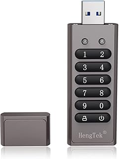 Moniss Unidade USB criptografada de 128 GB e 256 bits Senha Secure Flash Drive USB 3.0 U Disk Suporte Função Redefinir/Limpar/Bloqueio Automático, Cinza
