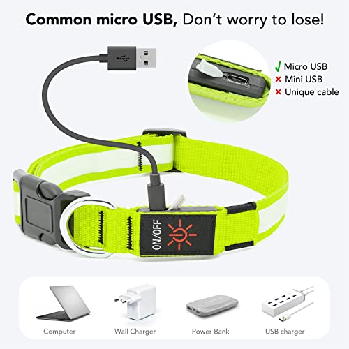 PZRLit Collare per cani con luce ricaricabile