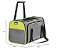 HUNTER SYDNEY Tragetasche für Hunde und Katzen, 45 x 28 x 28 cm, hellgrün/grau