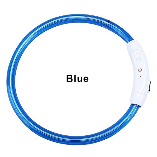 BEARCOLO - Collar de Perro con luz LED, Resistente al Agua y con USB, Recargable, para Perros pequeños, medianos y Grandes